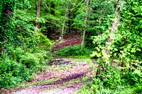 Nash Autism Seeking Hope Wood Trail at Beginning of Ride April 29, 2023