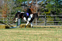 Five County Stables 11-25-2012