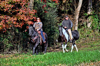 NC Horse Council Trail Pictures 11-21-2015